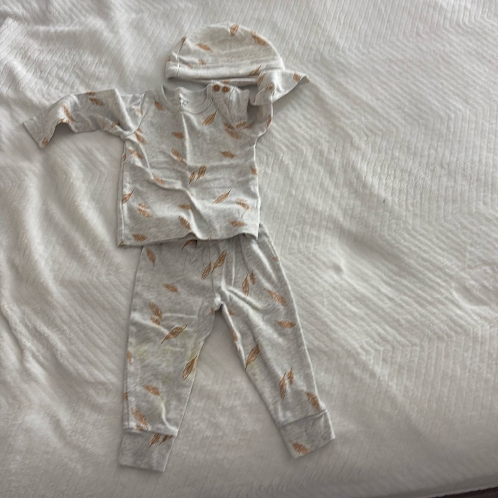 Carter's Gray and Brown Feather Print Sweatpants and Hat Set
